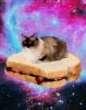 ImageUploadedByThumper Talk1410834848.382895.jpg