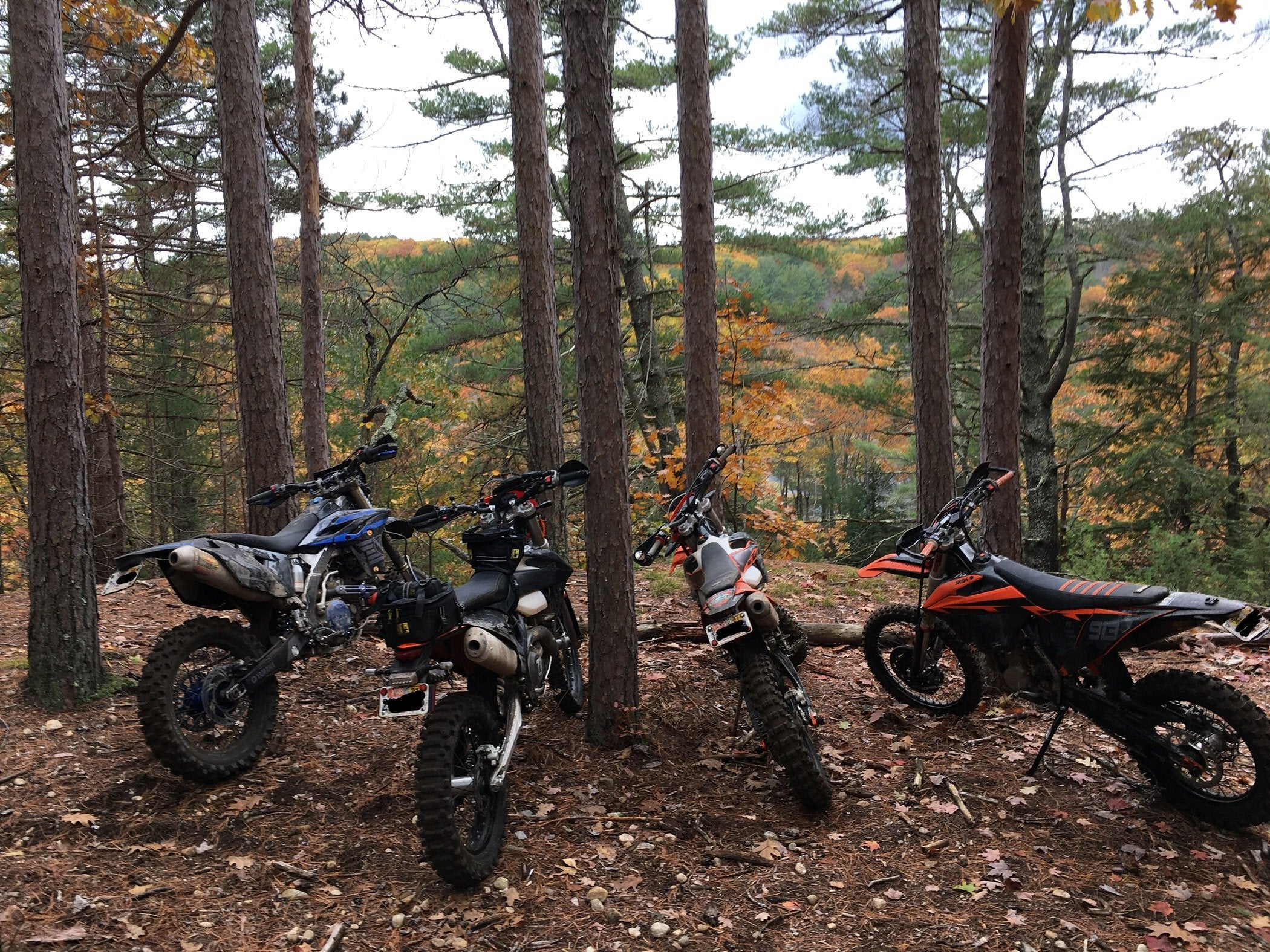 HopkintonEverett / Dunbarton riding area 10/1510/16 Events